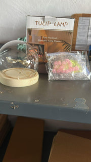 round tulip light